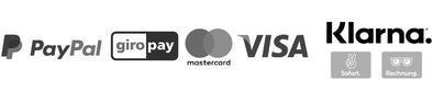 Zahlungsmethoden bei TOP-SHELF - PayPal, Visa, Klarna, GiroPay, Mastercard