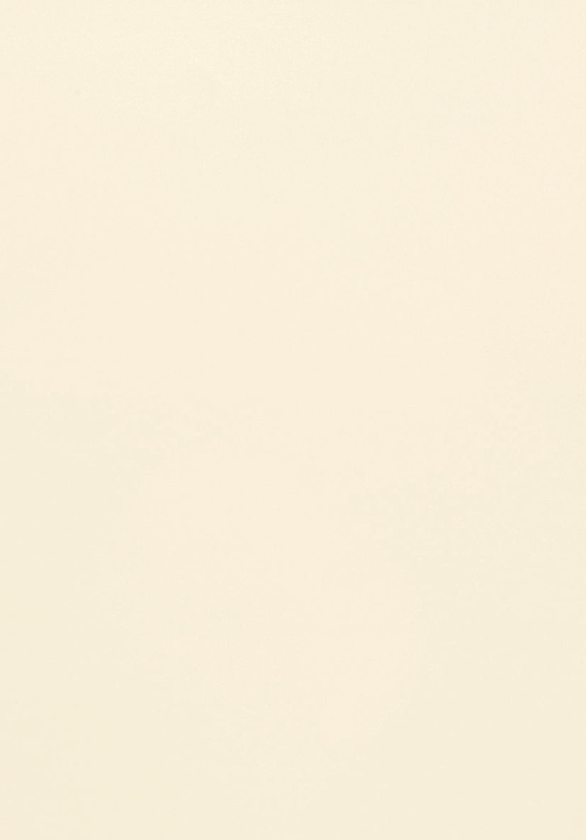 nobilia-Korpusfarbe-Korpusdekor-120-Magnolia-matt-passend-zu-Speed-206-Magnolia-softmatt